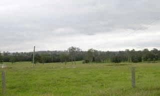 bradlarafarm