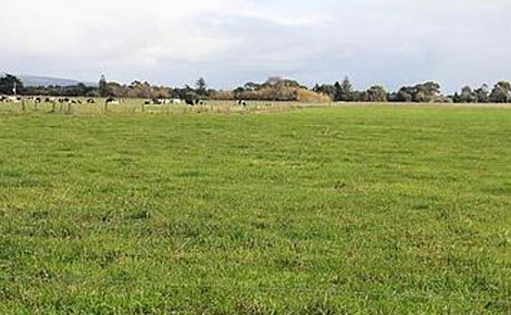 farm2