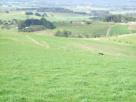 farm3