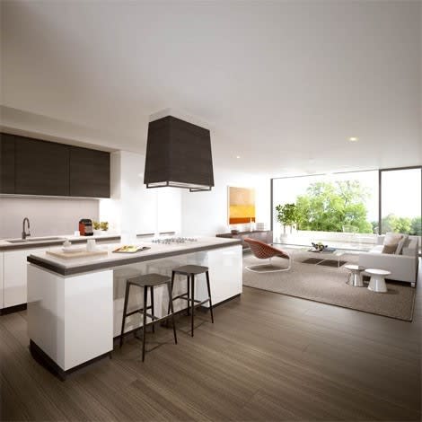 balmain1_0000_UNION_304_Kitchen.jpg